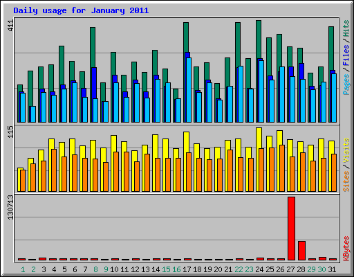 Daily usage for January 2011