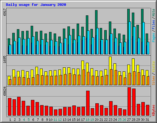 Daily usage for January 2020