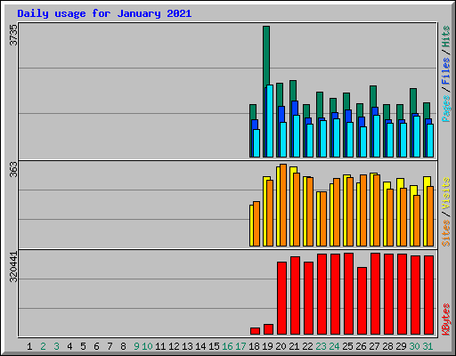 Daily usage for January 2021