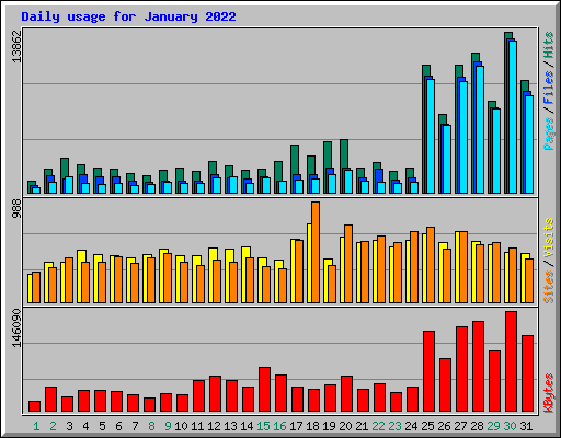 Daily usage for January 2022