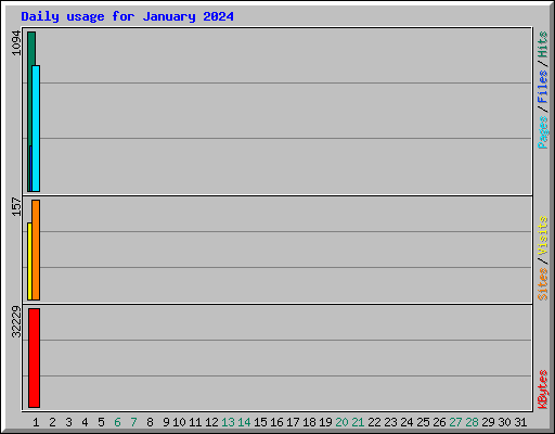 Daily usage for January 2024