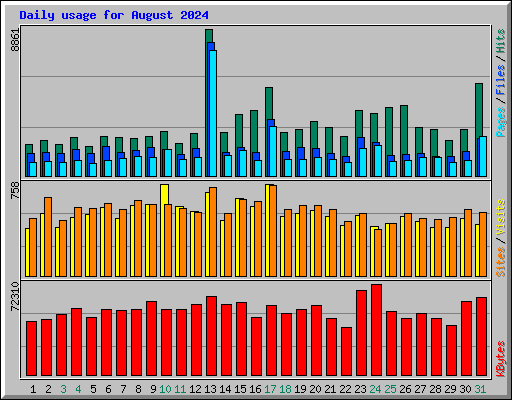 Daily usage for August 2024