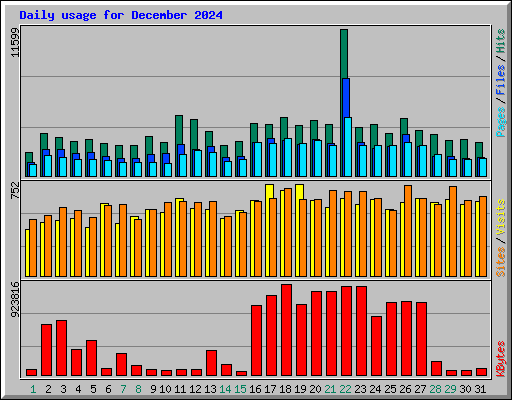 Daily usage for December 2024