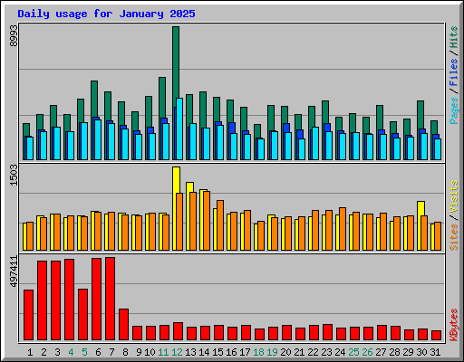 Daily usage for January 2025