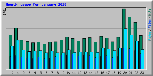 Hourly usage for January 2020