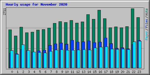 Hourly usage for November 2020