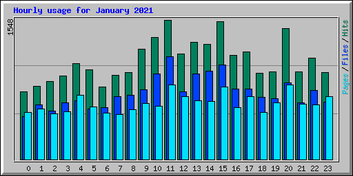 Hourly usage for January 2021