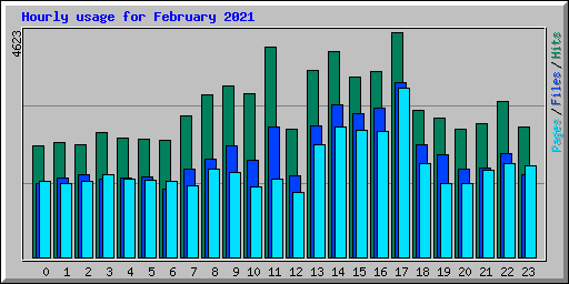 Hourly usage for February 2021