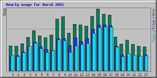 Hourly usage for March 2021