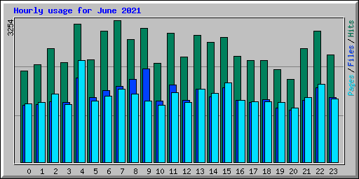 Hourly usage for June 2021