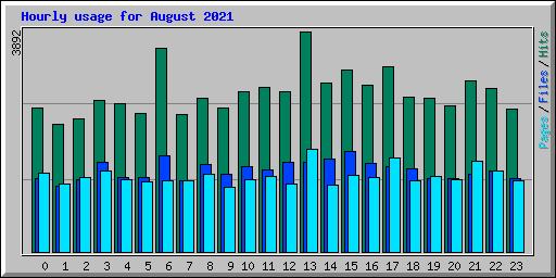 Hourly usage for August 2021