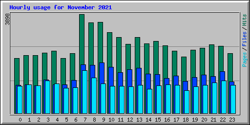 Hourly usage for November 2021