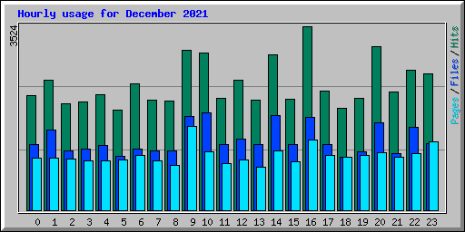 Hourly usage for December 2021