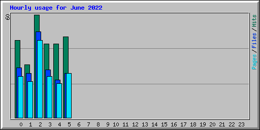 Hourly usage for June 2022