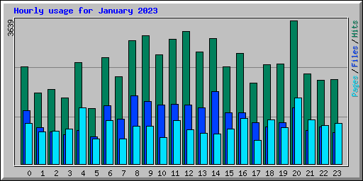 Hourly usage for January 2023