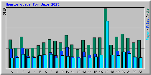 Hourly usage for July 2023