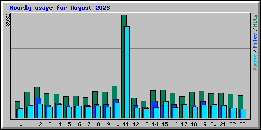 Hourly usage for August 2023