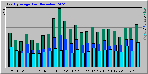 Hourly usage for December 2023