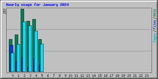 Hourly usage for January 2024