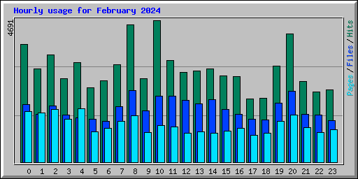 Hourly usage for February 2024