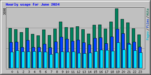 Hourly usage for June 2024