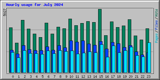 Hourly usage for July 2024