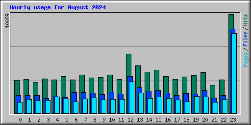 Hourly usage for August 2024