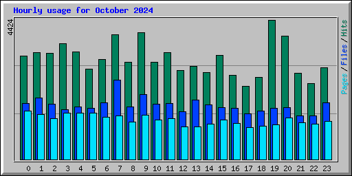 Hourly usage for October 2024