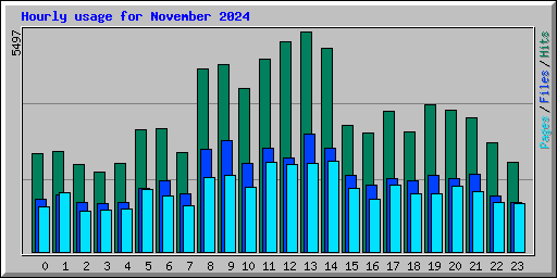 Hourly usage for November 2024