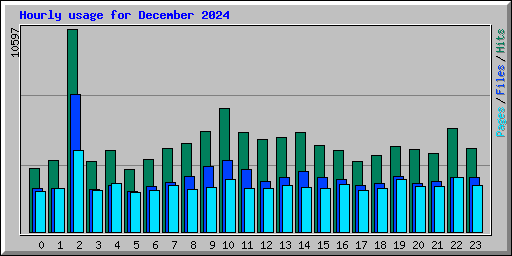 Hourly usage for December 2024