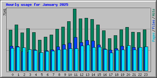 Hourly usage for January 2025