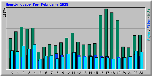 Hourly usage for February 2025